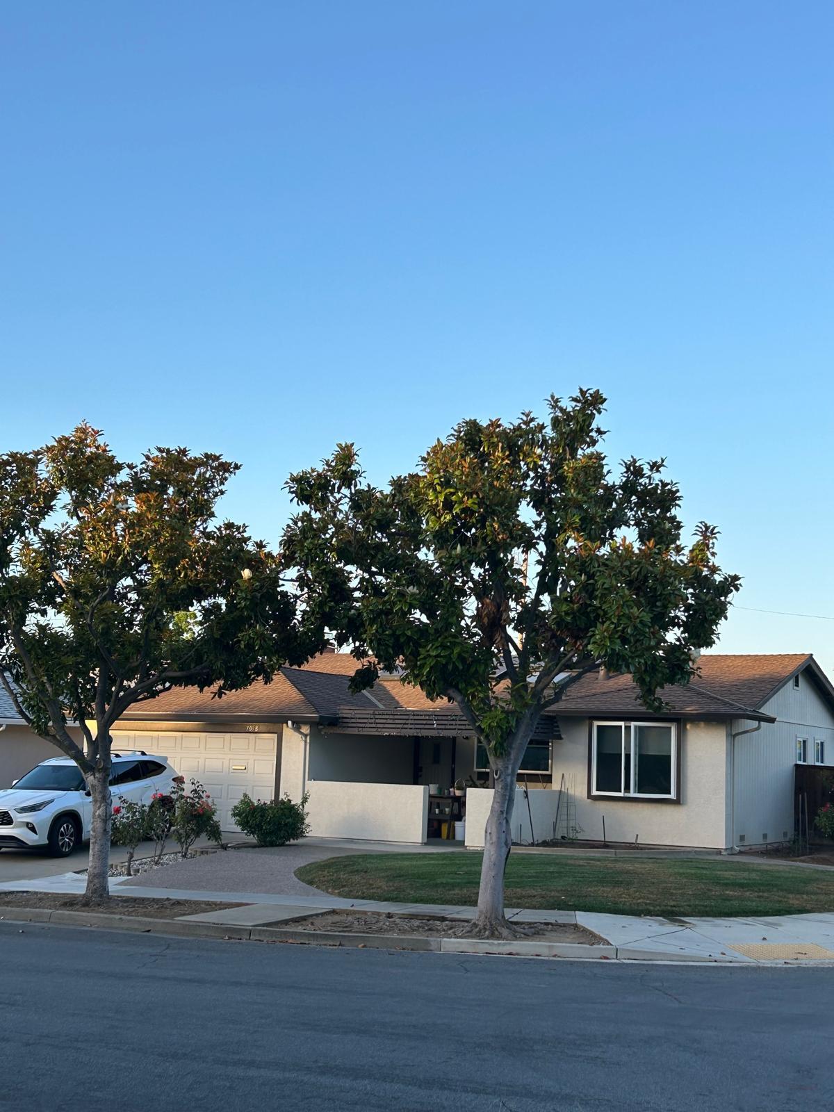 Freshly maintained residential lawn