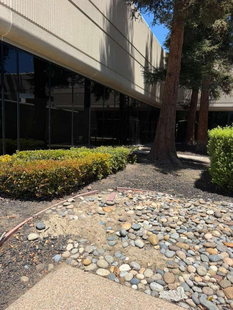 Landscape bed with river rocks, shrubs, and building frontage